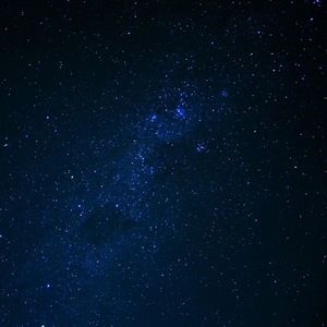 Meet your Posher, Larry